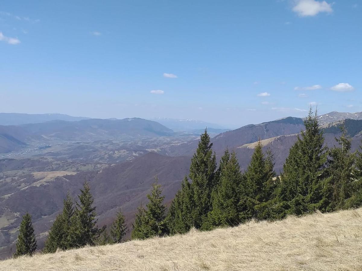 Садиба Під Чертежиком Kolochava Buitenkant foto